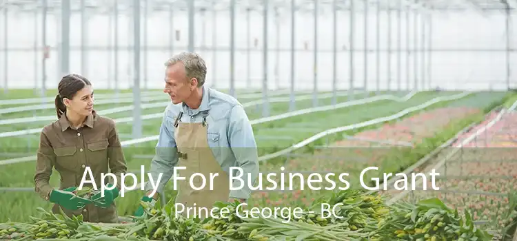 Apply For Business Grant Prince George - BC